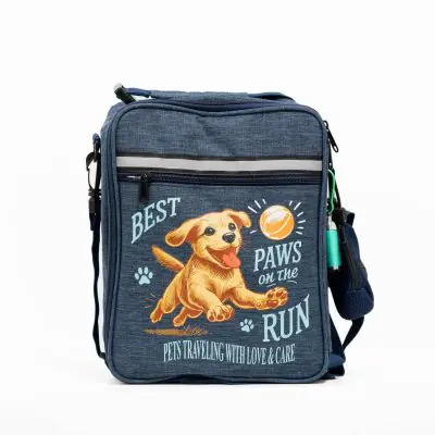 Cooler Bag
