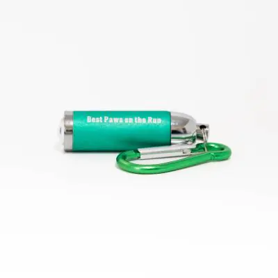 Mini Flashlight