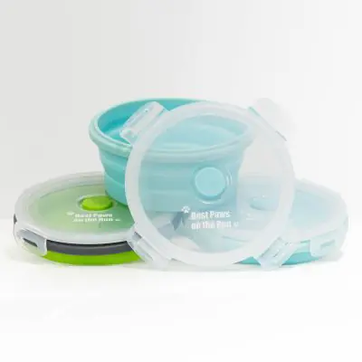 Medium Collapsible Bowl with snap on lid