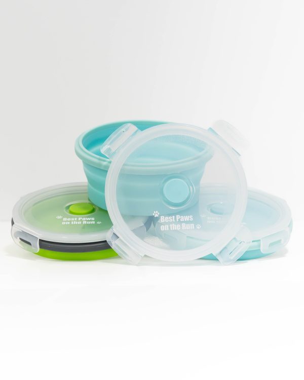 Medium Collapsible Bowl with snap on lid